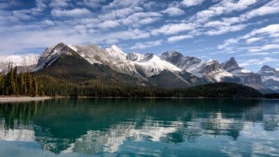 Jasper After the Fires: A Story of Renewal in the Canadian Rockies