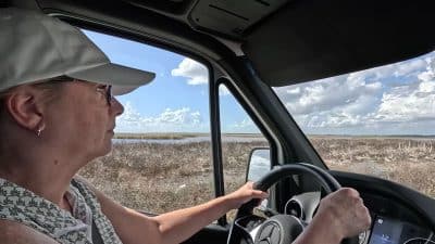 A Quiet Side of Florida Still Exists at Lake Apopka Wildlife Drive