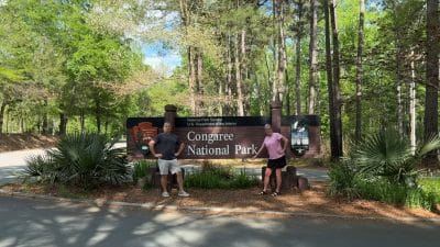 Congaree National Park: The Old-Growth Swamp Most People Drive Past